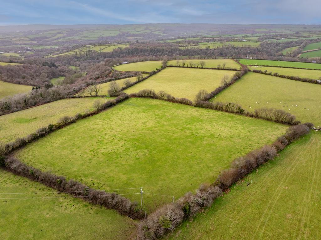 The land