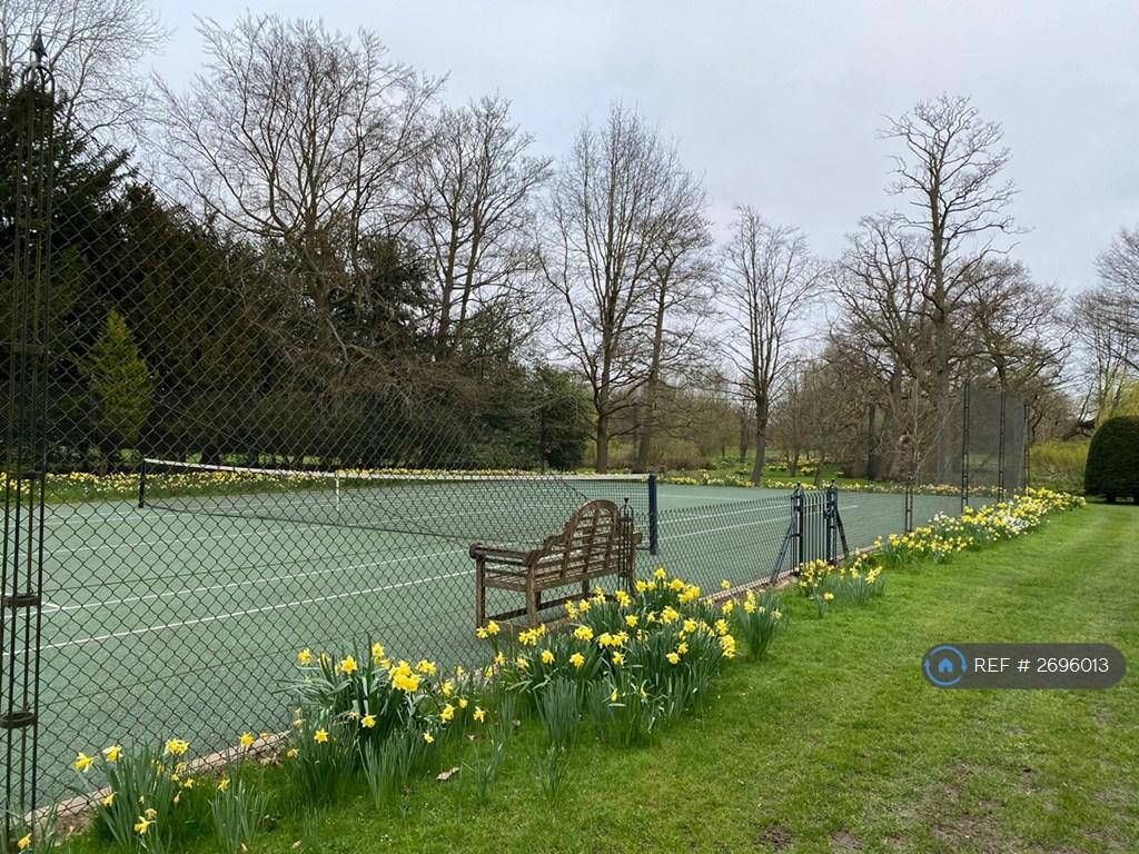 Tennis In Spring