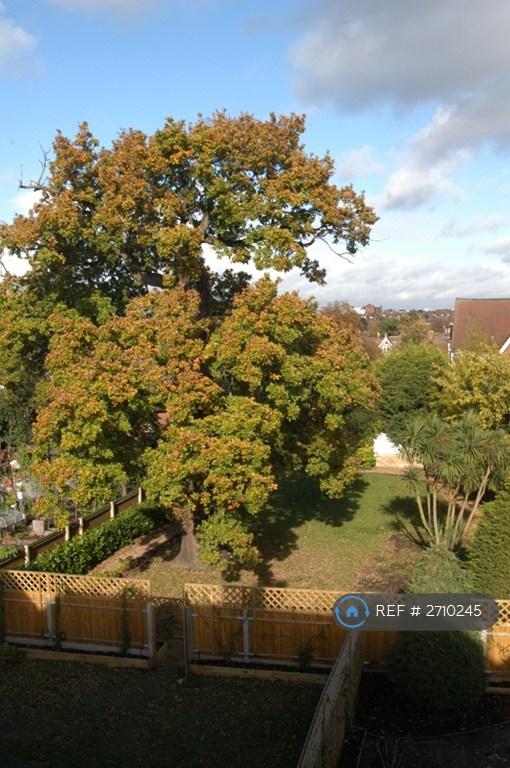 Communal Garden