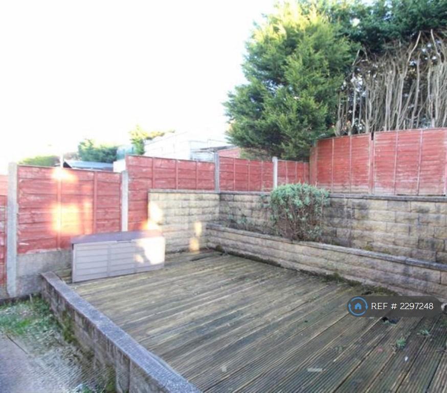 Back Garden