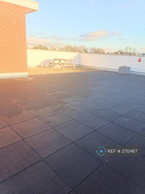 Roof Terrace