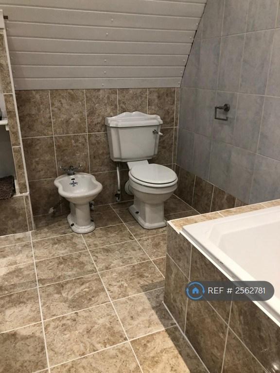 Toilet And Bidet