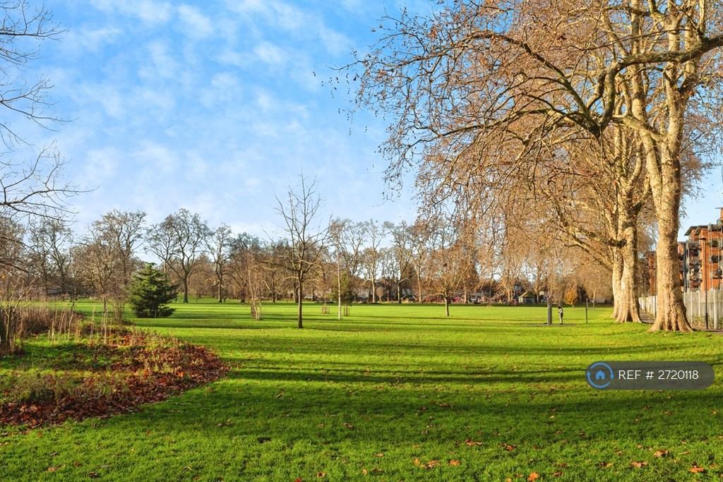 Grounds