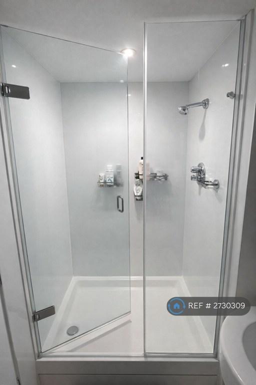 Bathroom: Walk-In Shower