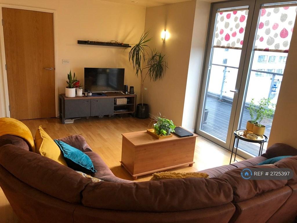 Living Room - Lounge Area
