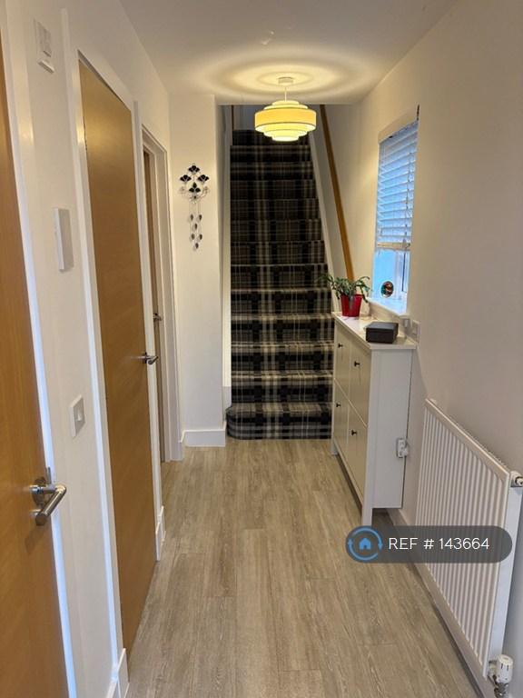Downstairs Hallway