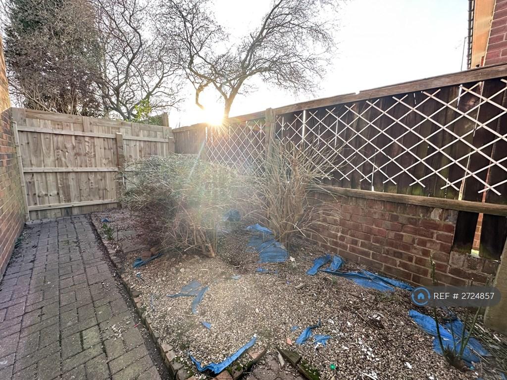 Back Garden