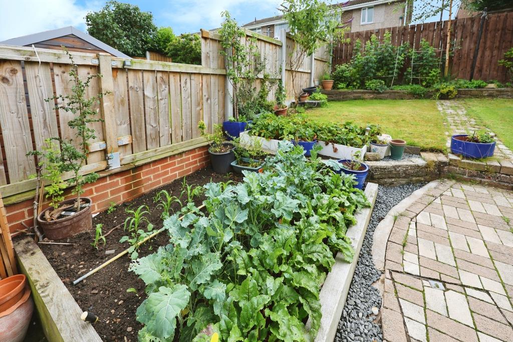 Pbox-garden-312205.JPG