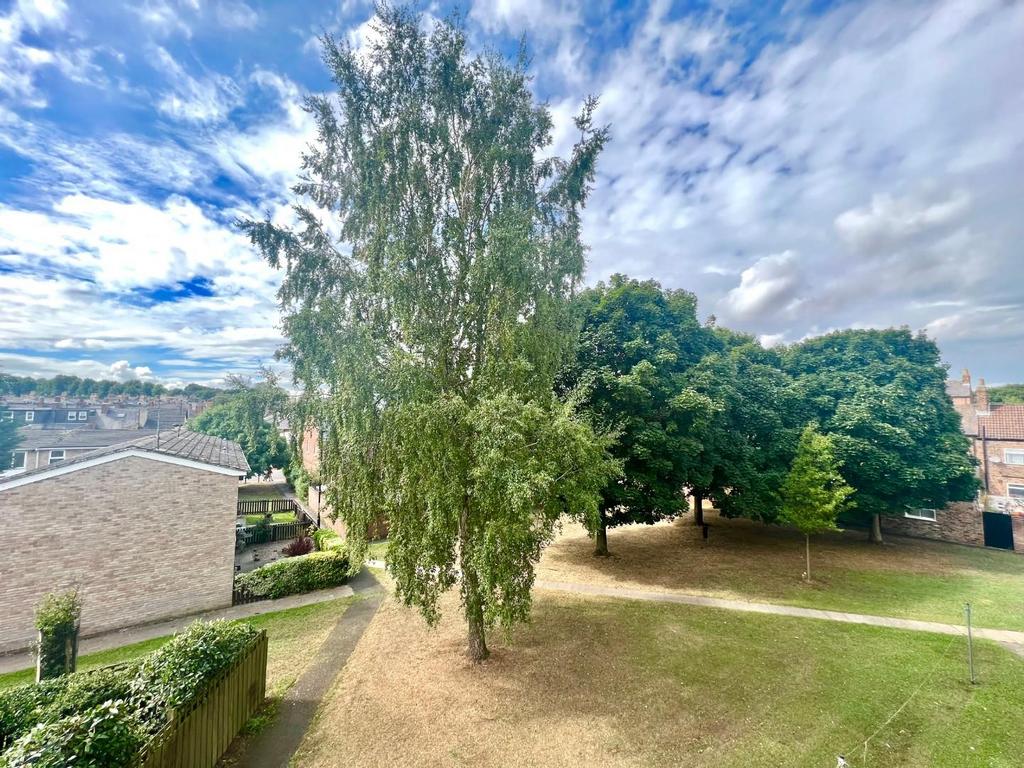 A9 C38 BE3-87 E2-4141-9157-2 CFDB7 FA86 AC.jpeg