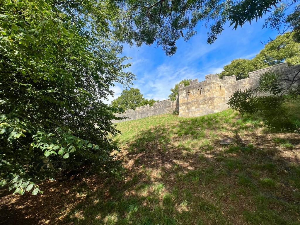 A28 AA0 E6-E844-40 BC-BE6 E-EB0 E67 D9 A812.jpeg