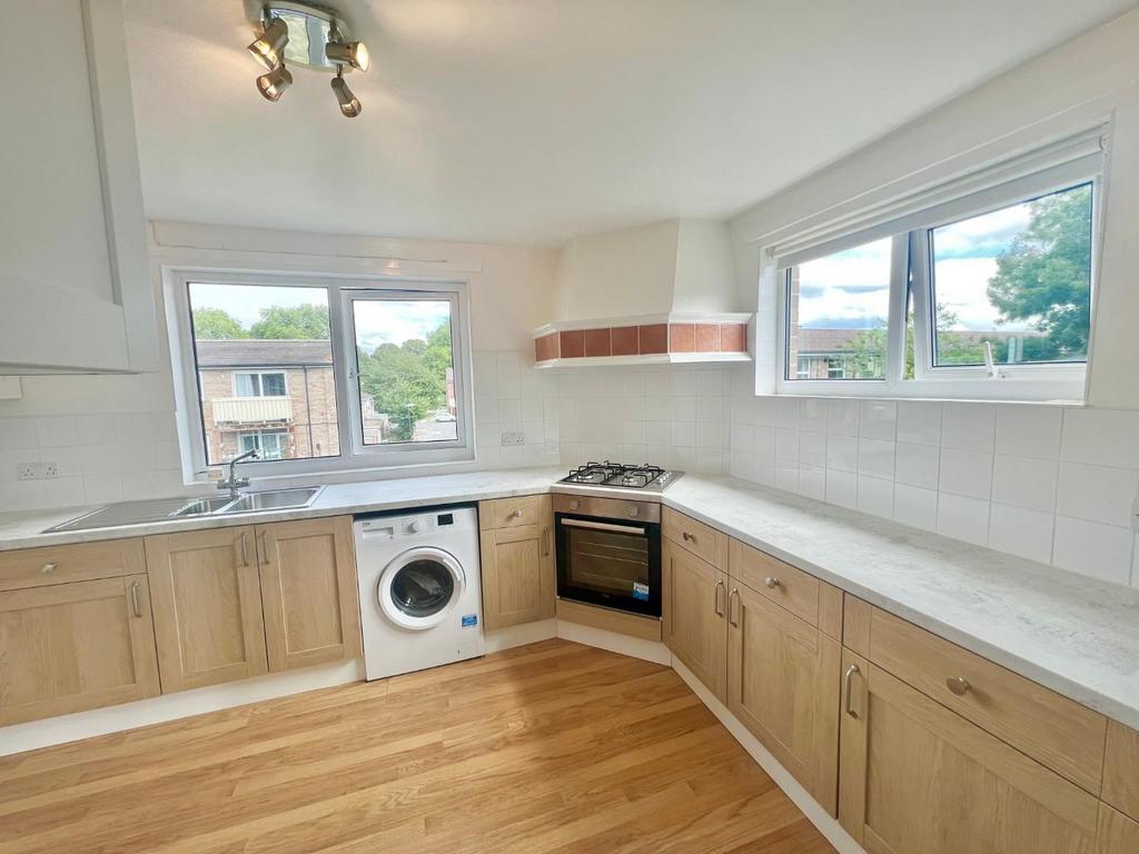 949 D0446-4 DBB-407 D-B14 D-0 BE5 C3533 B0 A.jpeg