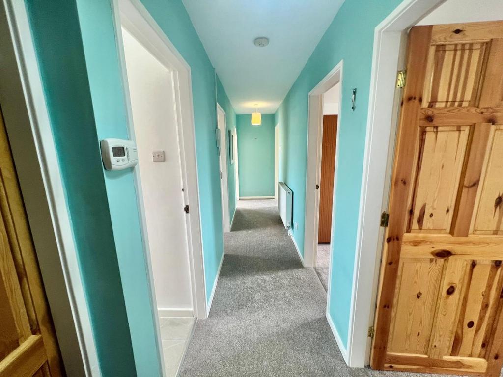 57550311-B03 A-43 DB-B2 E8-2576 CC26110 E.jpeg