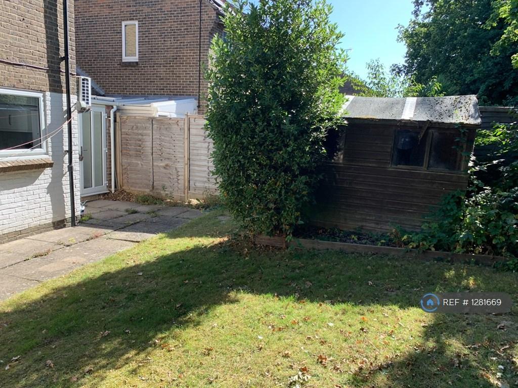 Back Garden 1