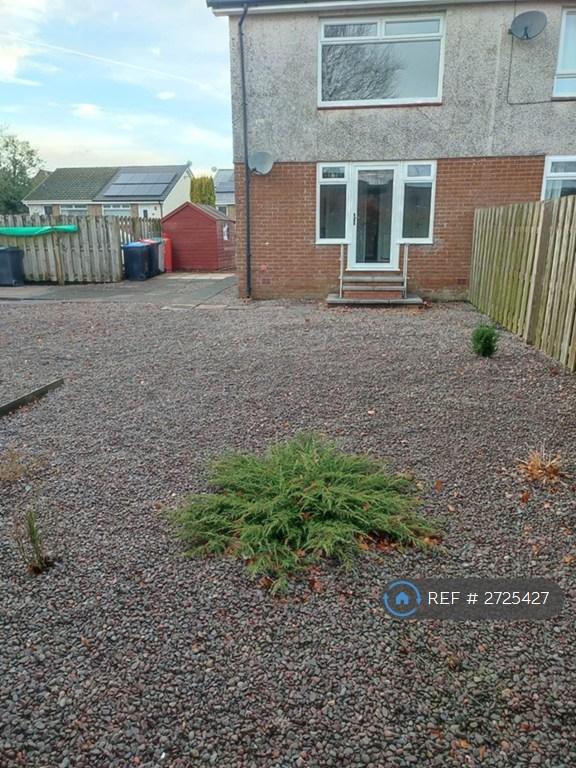 Back Garden