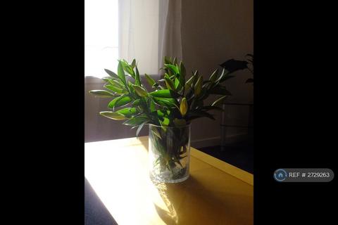 1 bedroom flat to rent, John Knox Court, Aberdeen, AB24
