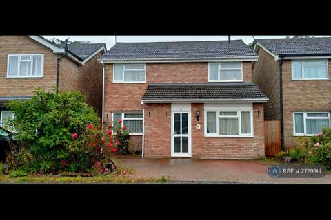 4 bedroom detached house to rent, Borda Close, Chelmsford, CM1