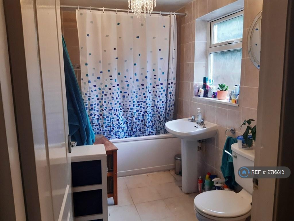 Bath Shower