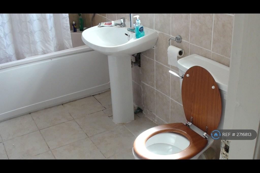 Bathroom Toliet Basin