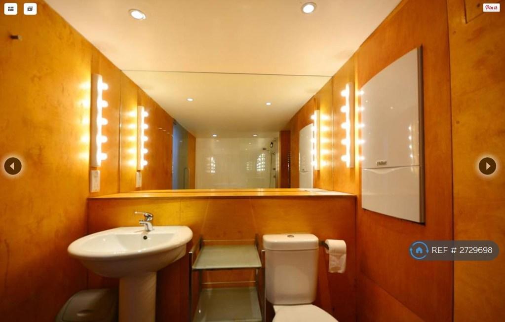 Well Lit, Spacious Shower/Bathroom
