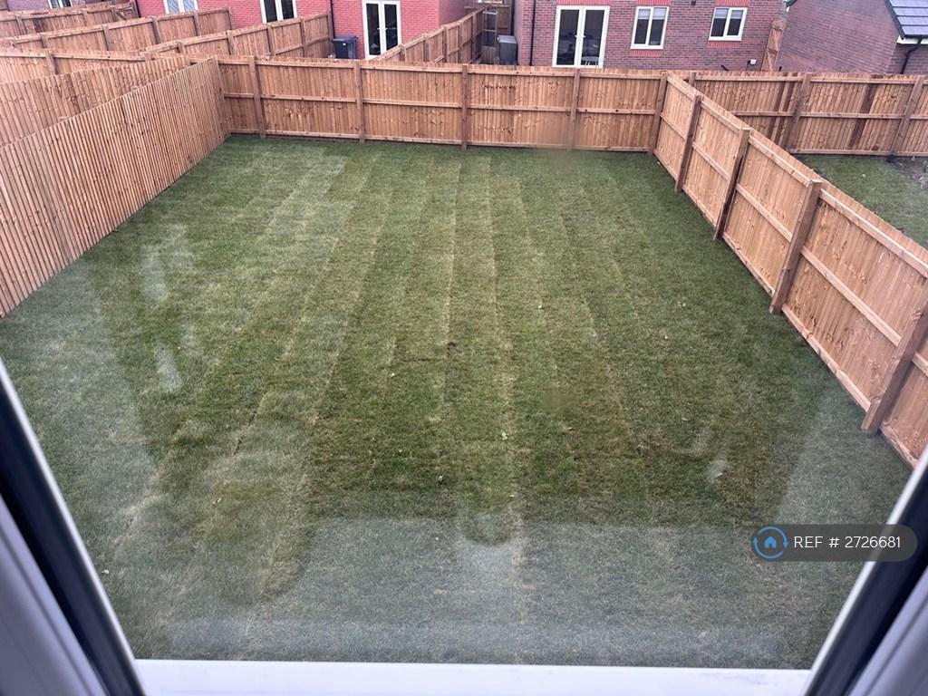 Back Garden