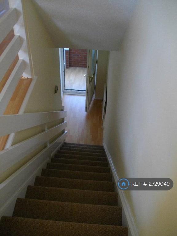 Brand New Carpet On Stairs