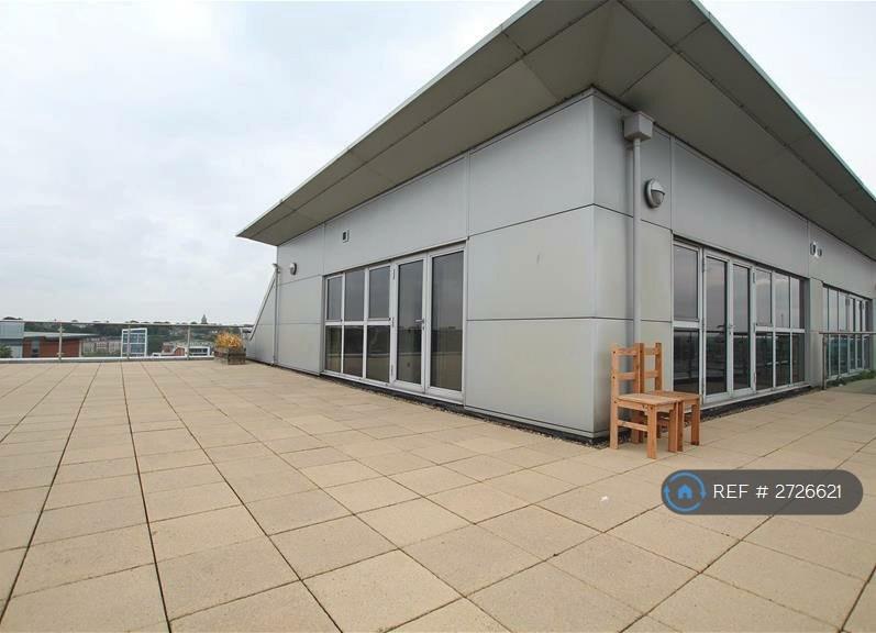 Terrace 1