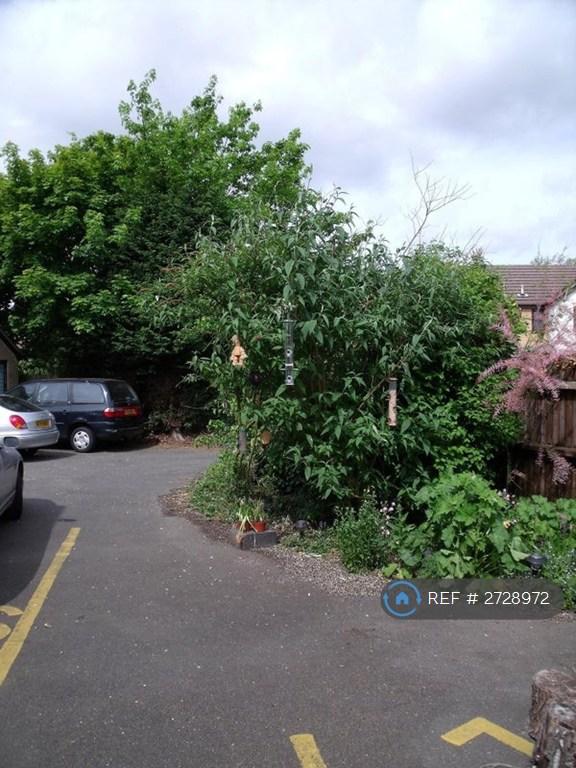 Safe Car Park