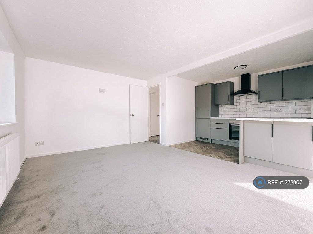 Kitchen / Living Room
