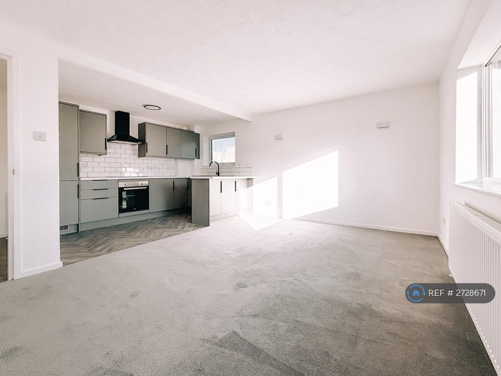 Kitchen / Living Room