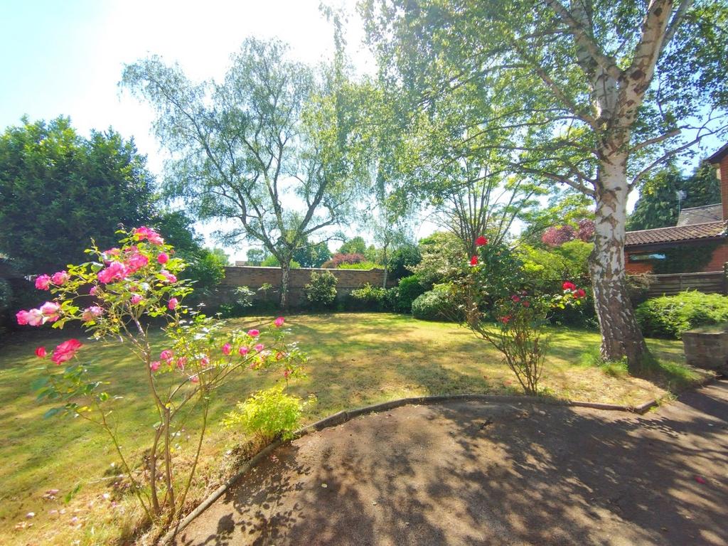 Sunny, landscaped rear garden with mature trees...