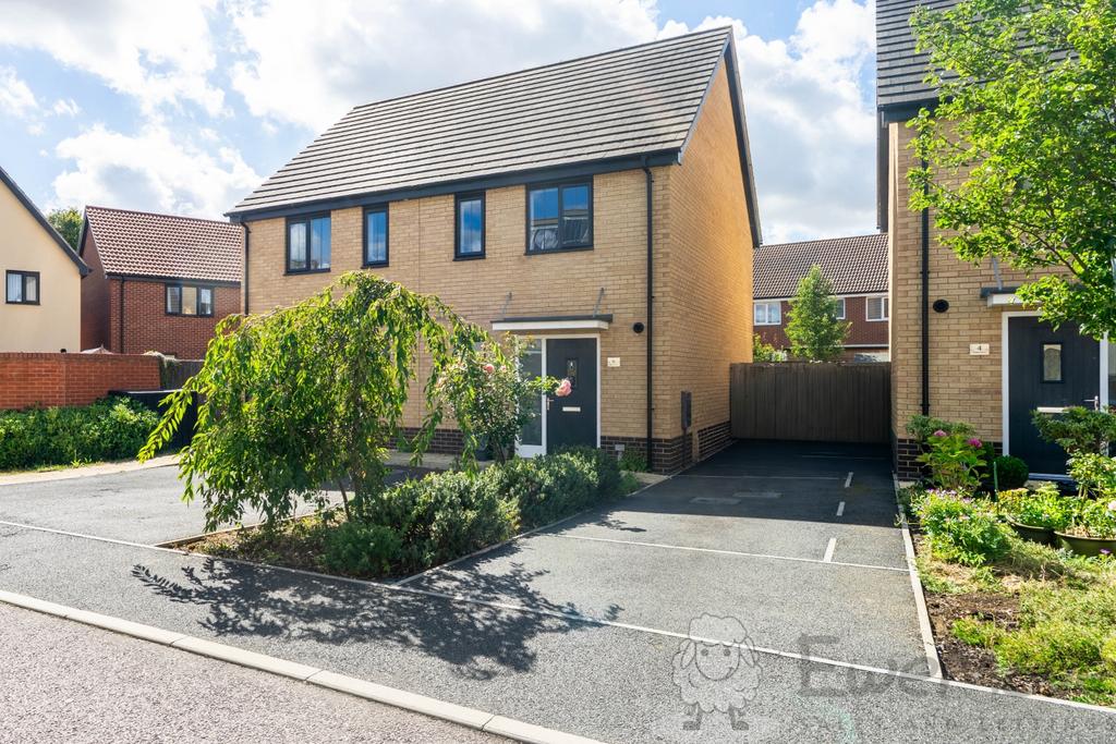 Front View and Driveway