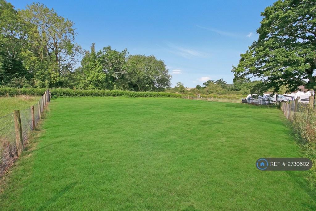 Prefered Dog Walking Field