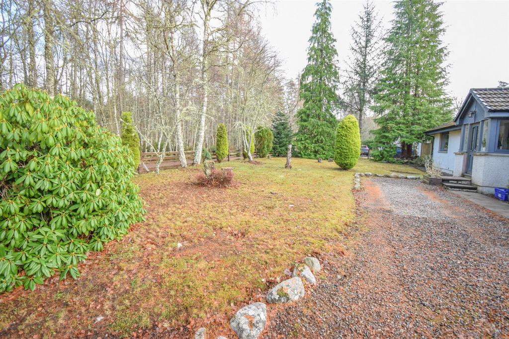 Front garden