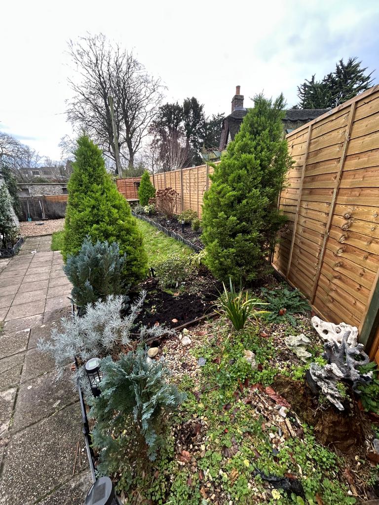 Garden with fence and beds