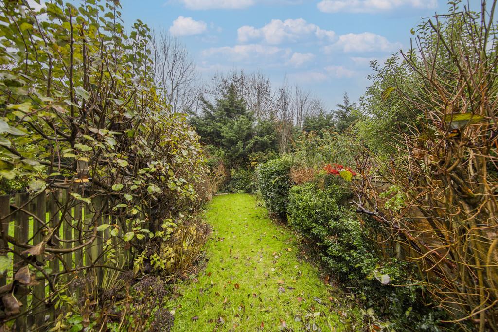 Rear Lawn