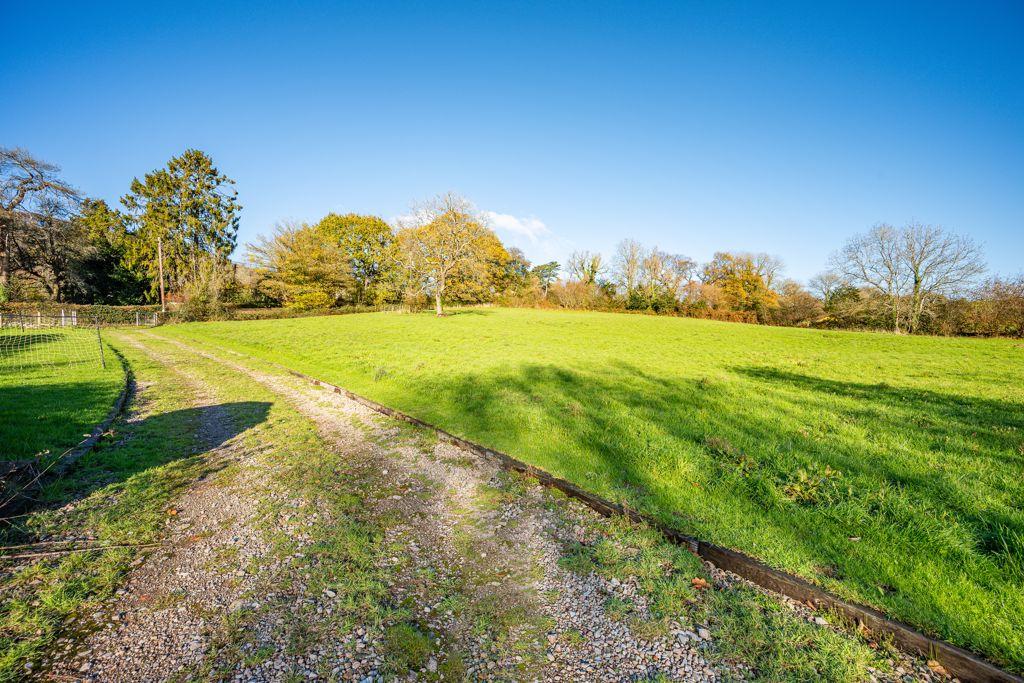 Grounds