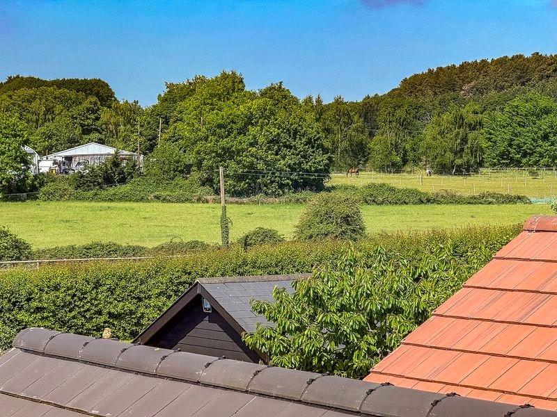 Picture No. 33