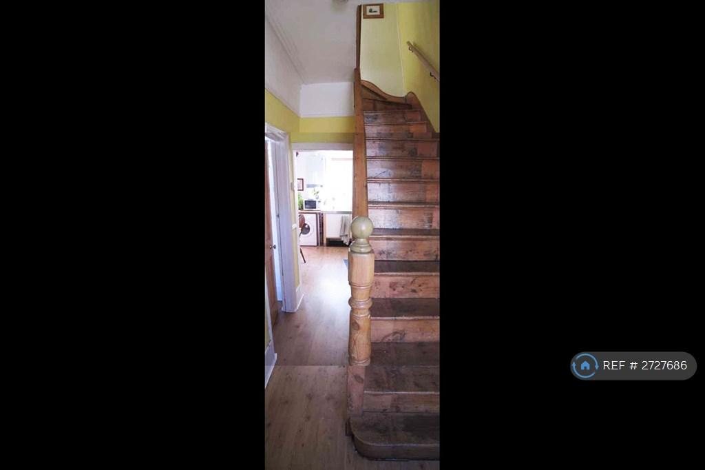 Downstairs Hallway