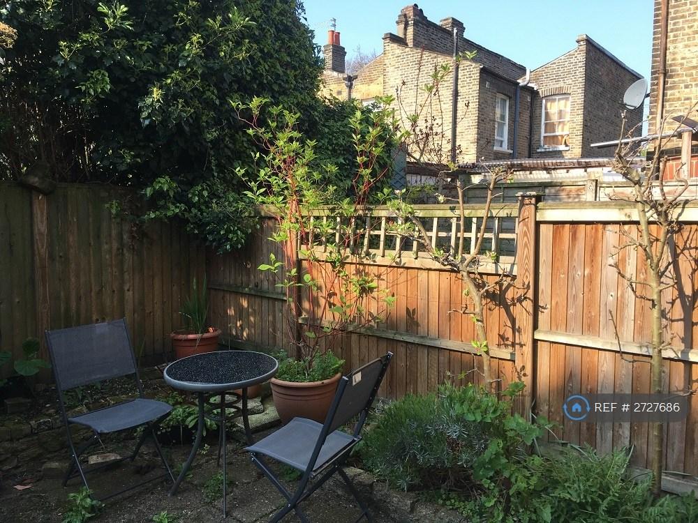 South Facing Garden