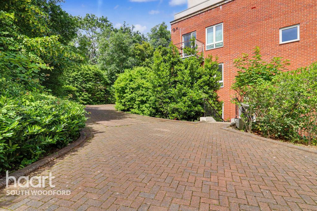 Driveway view, driveway