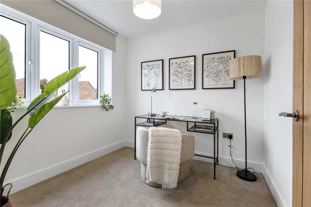 Plot 19 Study