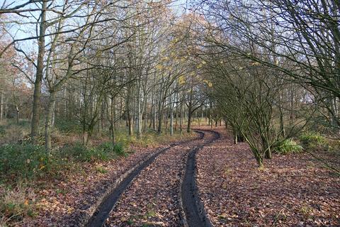 undefined, Water Lane, Saffron Walden CB11