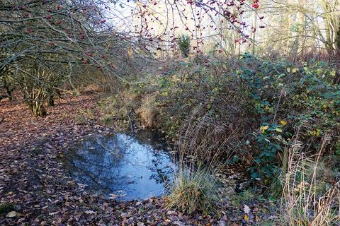 undefined, Water Lane, Saffron Walden CB11