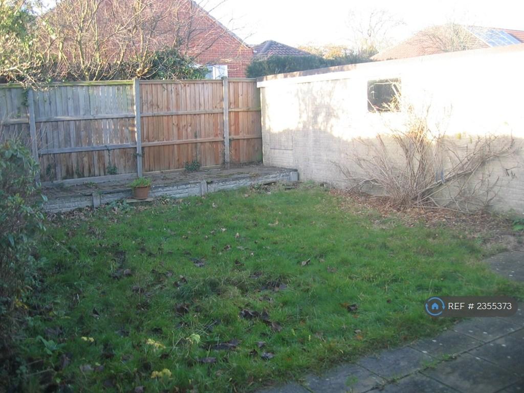 Back Garden