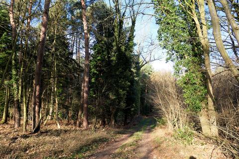 undefined, Cawston Road, Aylsham NR11