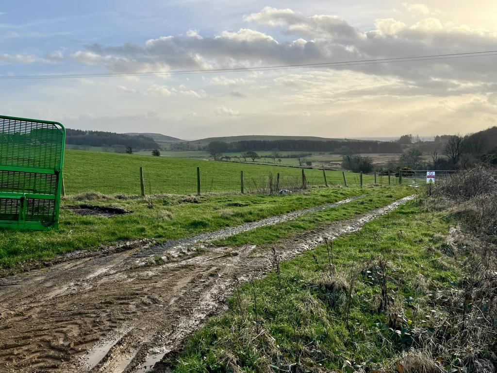 Dairy House, 2 Dromore Steading, Kirkcudbright - W