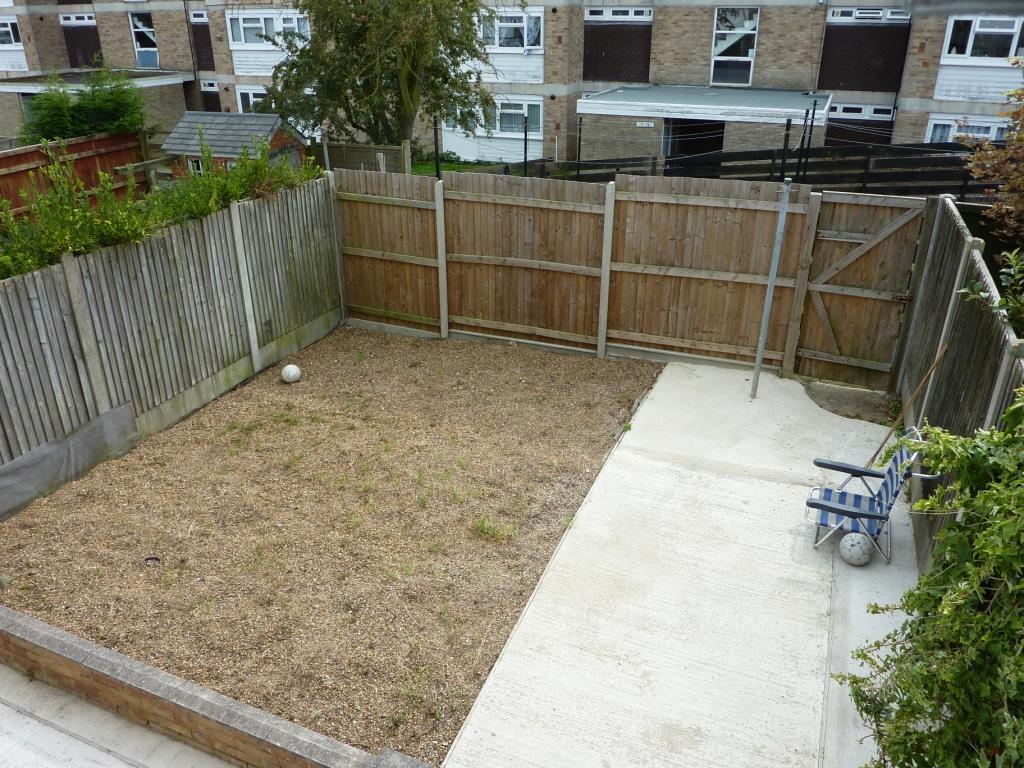 Picture 8