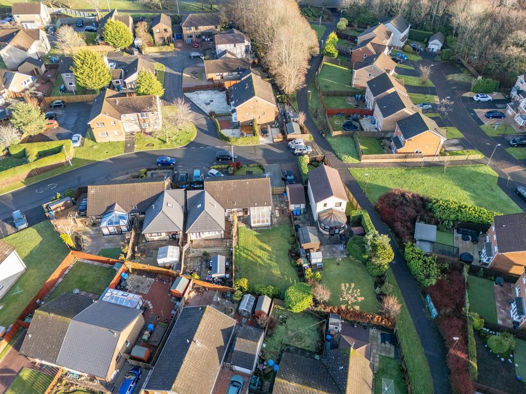 Aerial Shot