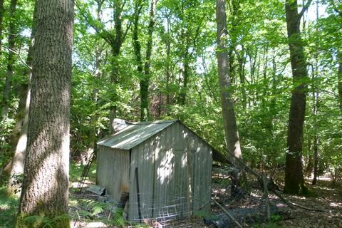 Woodland for sale, Hopkins Reeds Wood South, Wormley, Surrey GU8