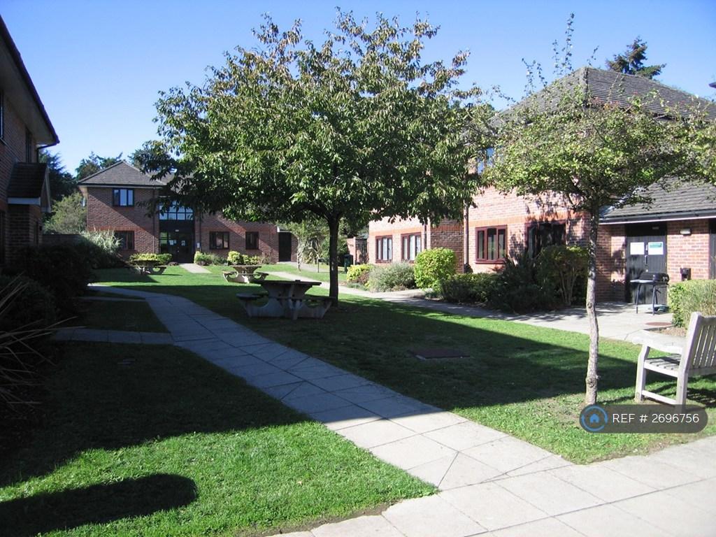 Ymca Garden Area